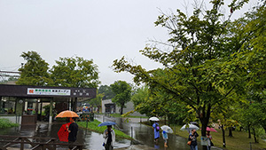 雨の動物園