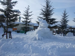 旭山動物園くらぶ雪像づくり