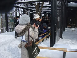 雪の中の動物園撮影教室