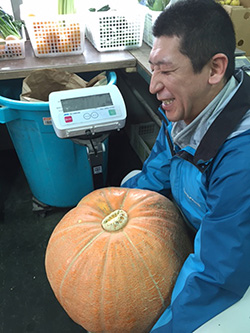 かぼちゃ重量