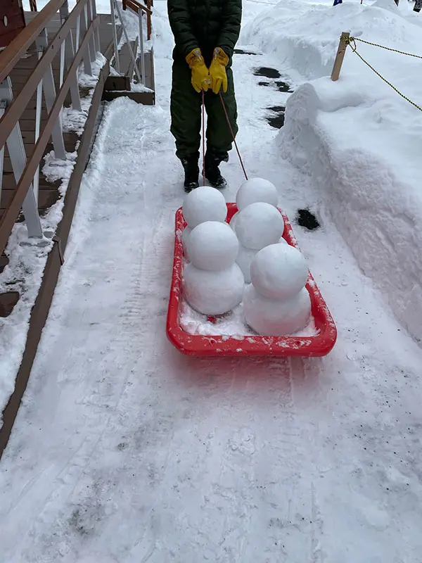 旭山動物園でミニ雪だるま作製中！！ – 旭山動物園くらぶ