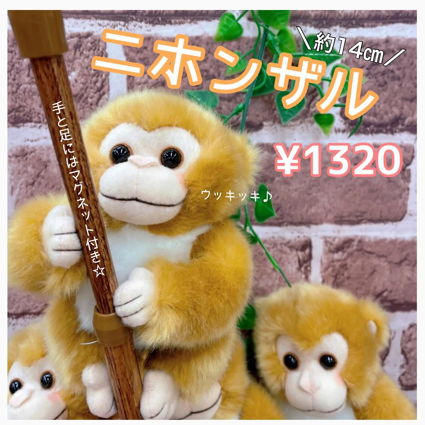 Instagramからの投稿 – 旭山動物園くらぶ