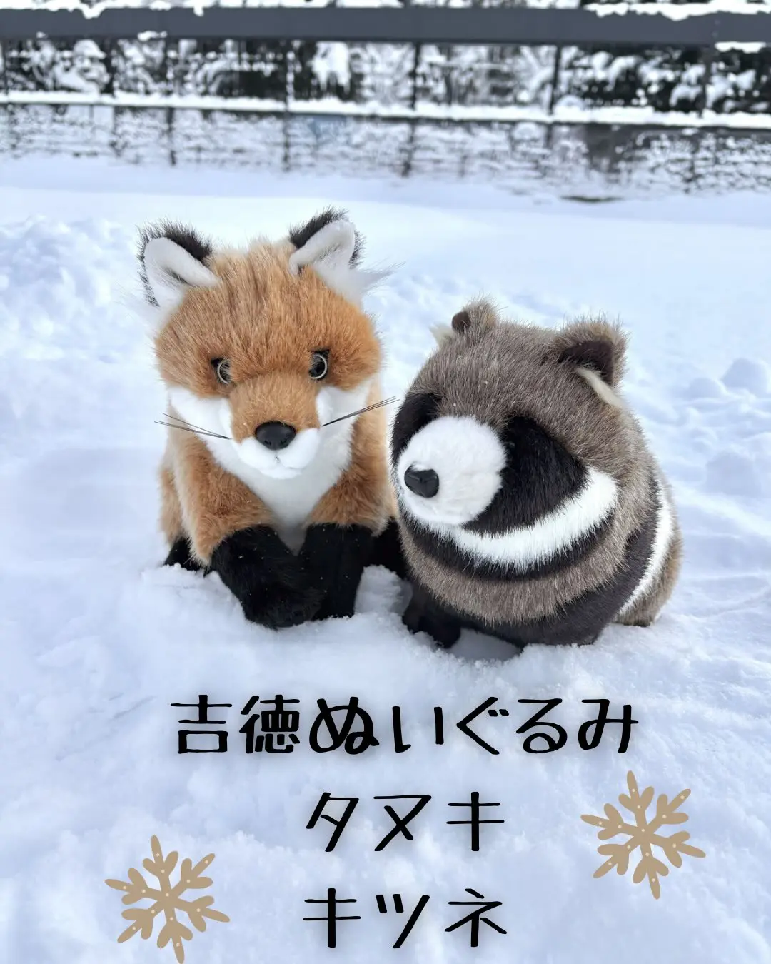 Instagramからの投稿 – 旭山動物園くらぶ
