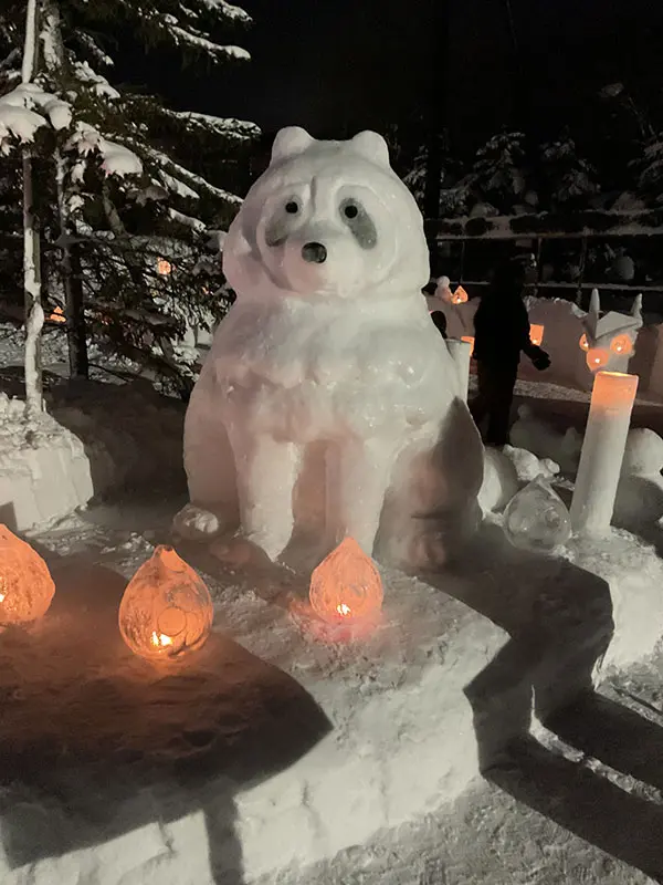 雪あかりの動物園始まりました！ – 旭山動物園くらぶ